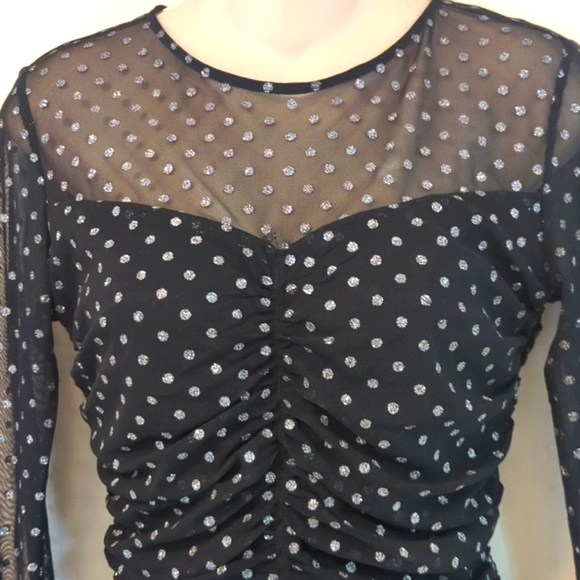 Zara Tulle Silver Dot Swiss Dress - Picture 8 of 16